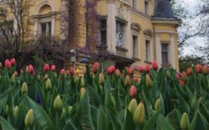 La Primavera di uno studente a Sofia