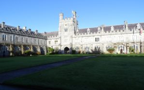 Training Vision Ireland e il Quadrilatero Principale: i misteri dell’Università…